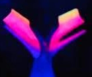 Minx Techniques Workshop